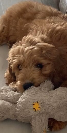 486320726_10232201554399483_1771439974709265050_n