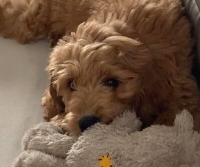 486320726_10232201554399483_1771439974709265050_n