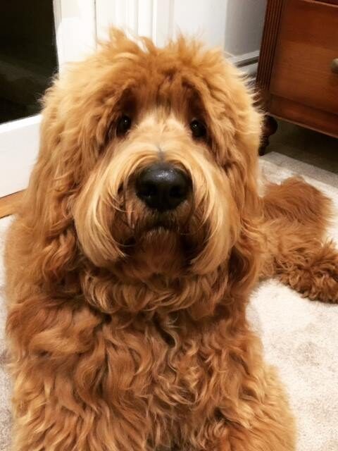 487320957_2110555252689645_852745789958708690_n