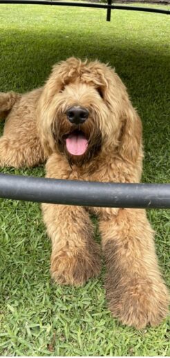 516576851_10163694126266532_3153384040732886356_n