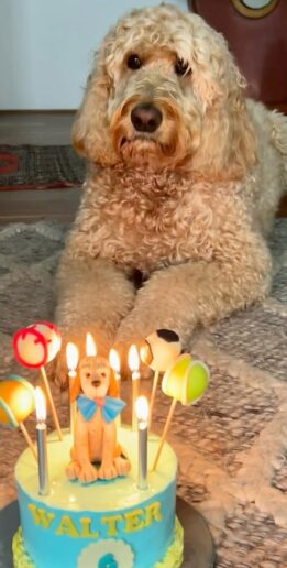 554210730_1761328851185393_7319648771013012644_n